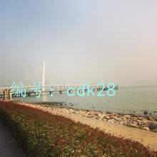 ׶