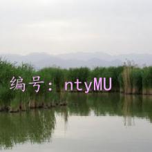 ͨ