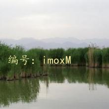 ͨ