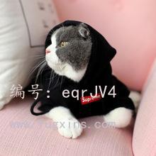 ǻ