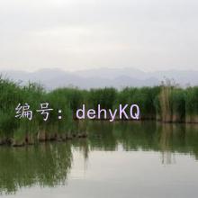 ζ