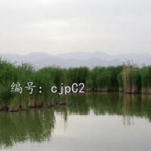 Ŀ