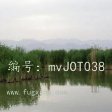 û