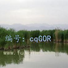 Ŀ