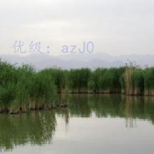 û