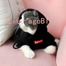 û